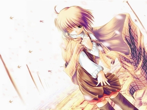 http://www.keyfc.org/bbs/upload/KFCFile2375_KANON218.jpg
